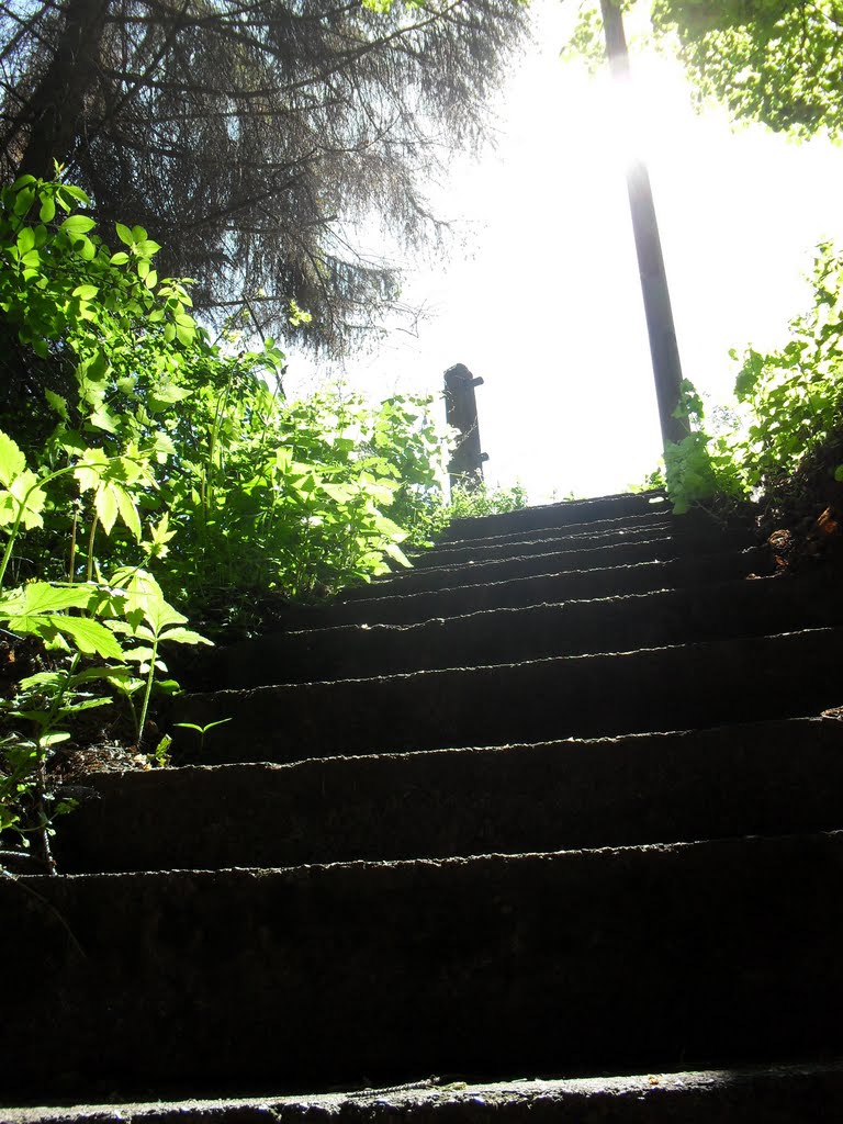 Treppe bei Wetterburg by Kapraun J