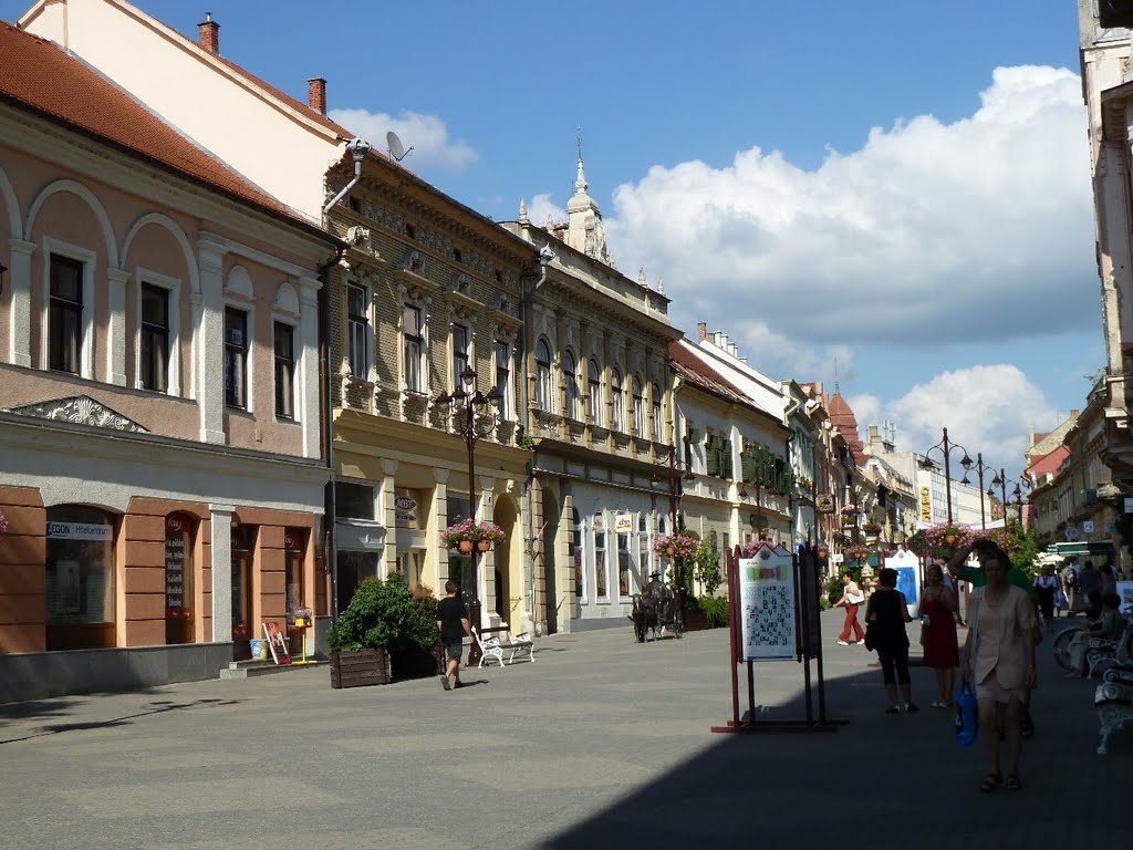 Kaposvár, Hungary by izsolt