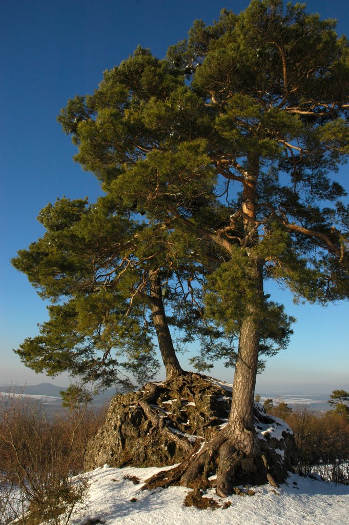 Beim Staffelberg by weitblick