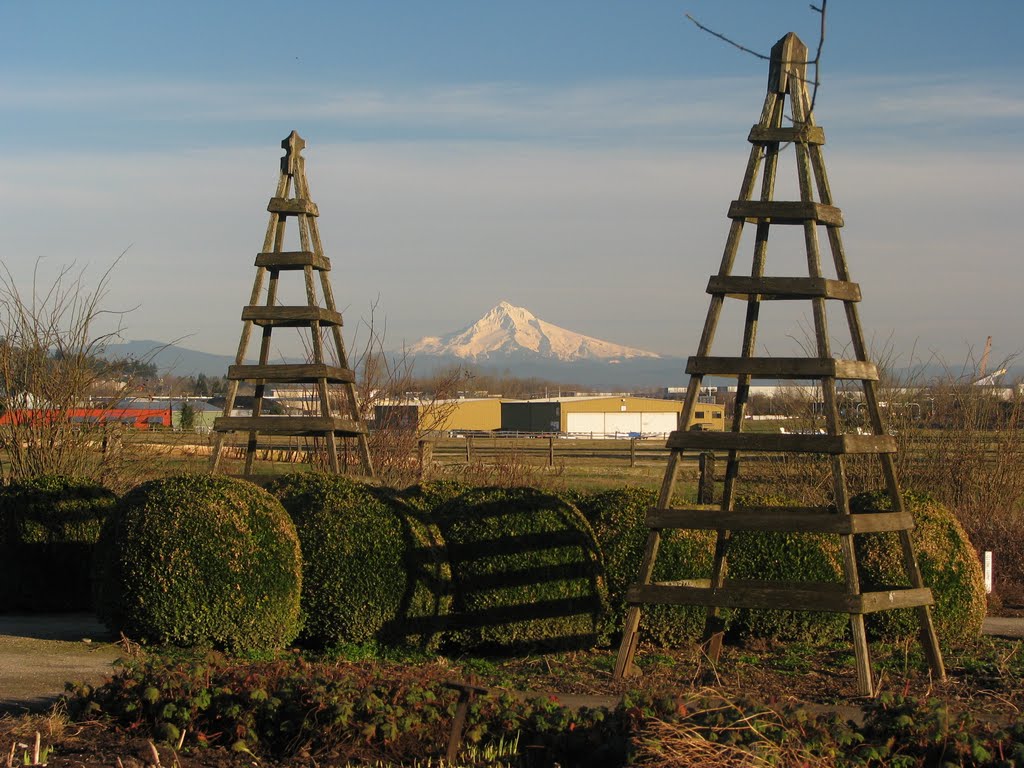 Fort Vancouver Garden by Dana Jensen