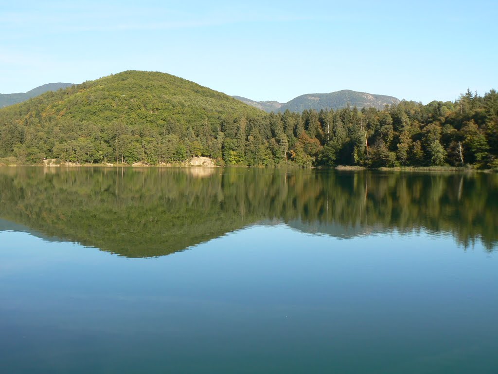 Spiegelung auf dem Montigler See by Charly G.