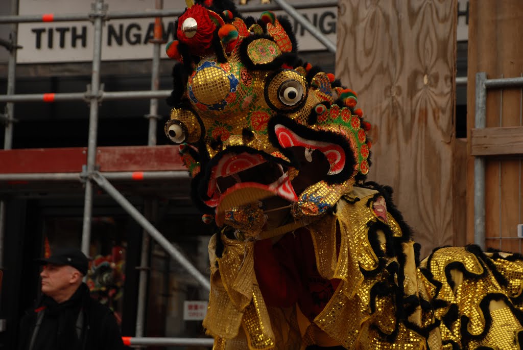 Dragon blessing shops on 3 February 2011 for Chines New Year by larry_antwerp