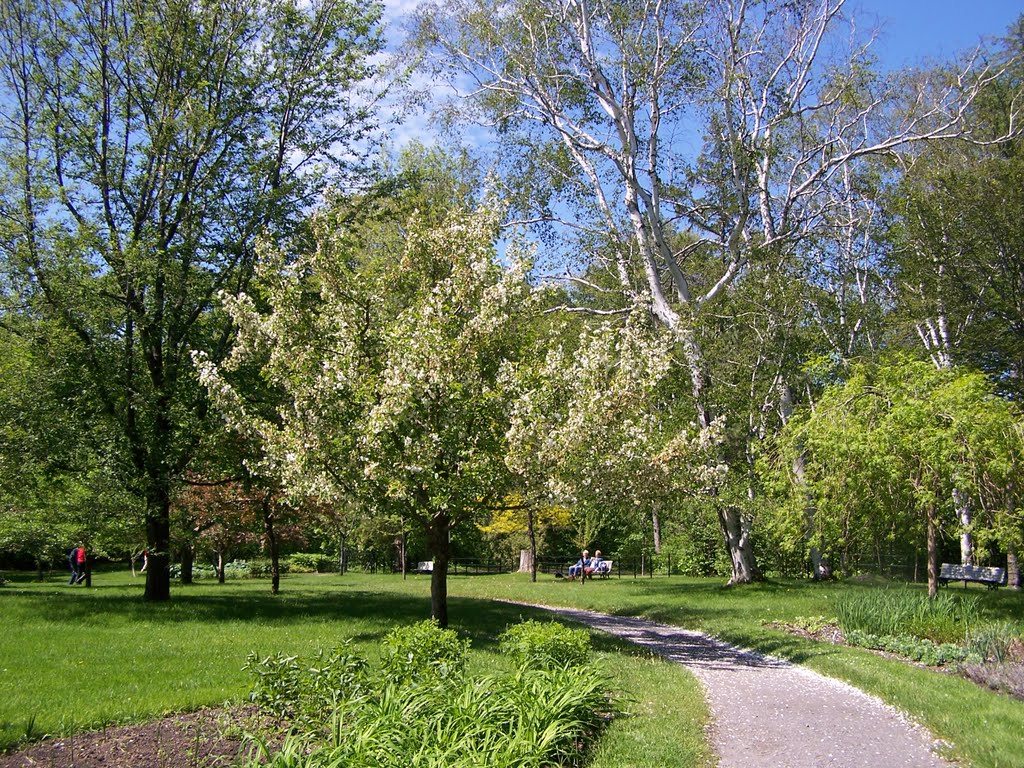 Arboretum Bois de Coulonge by AmateurQuébec