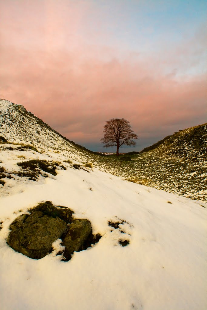 Sycamore Gap by AtHull