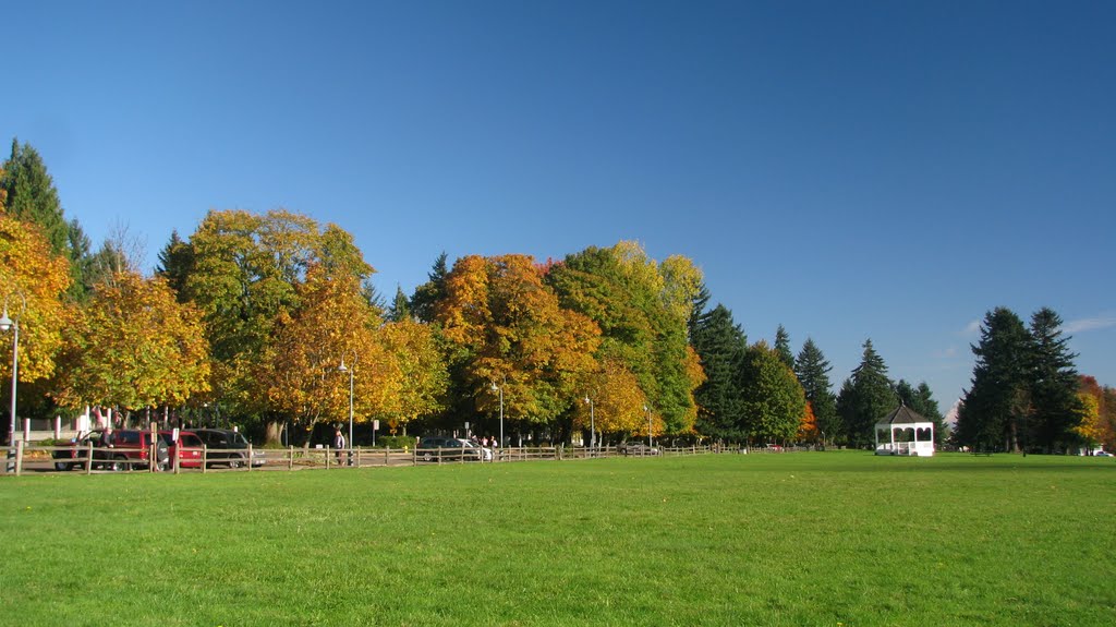 Officer's Row Autumn by Dana Jensen