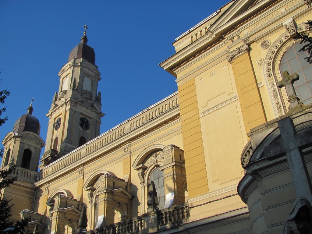 Oradea-Biserica Romano-Catolica Sfantul Spirit-28 Ian 2011 by Popescu Vicentiu