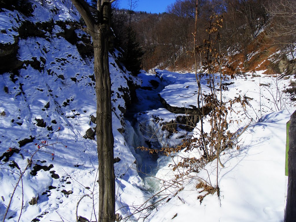 Cascada Putna by dianabv