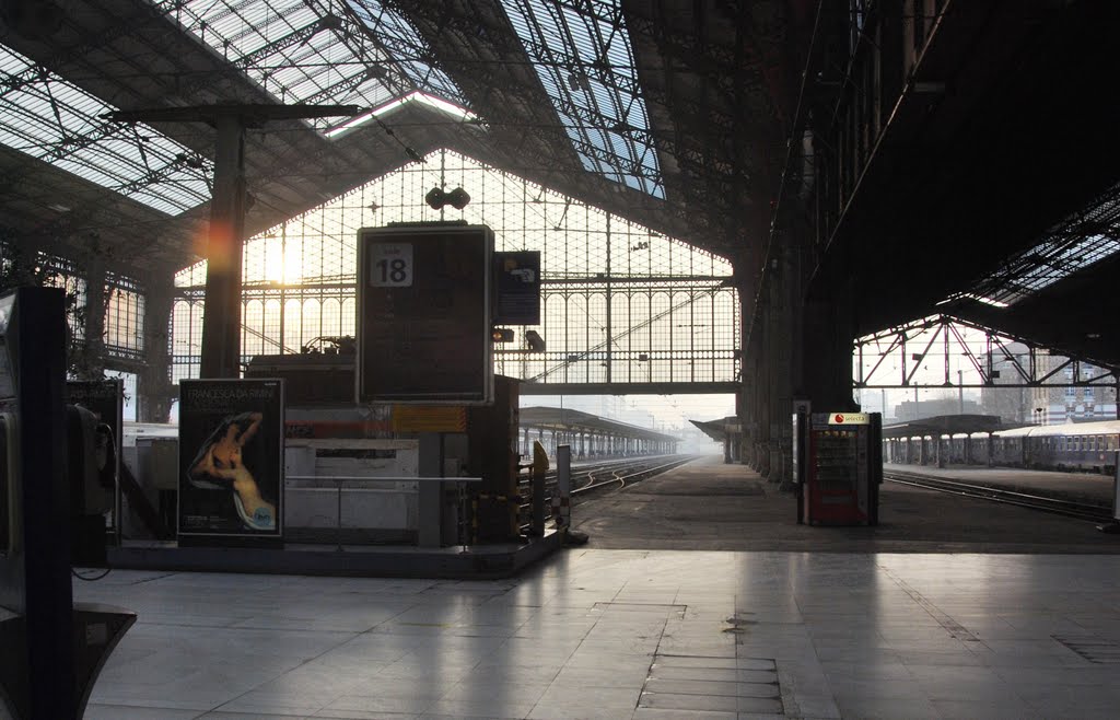 Paris Austerlitz Train Station by Fernando Mandujano