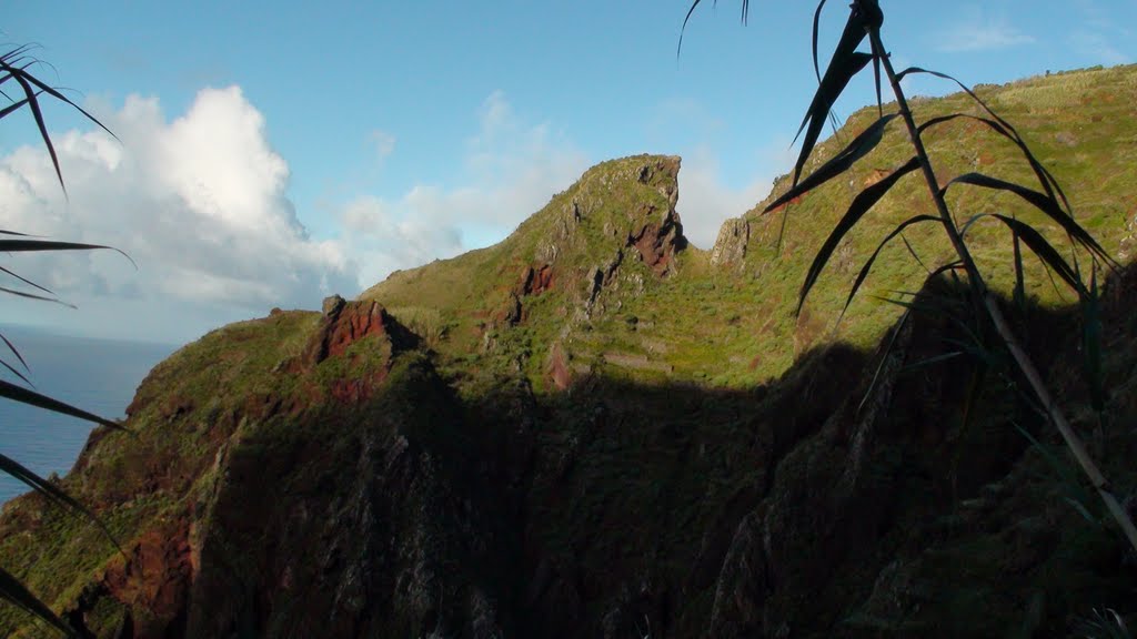 Madeira by Jan Grabka