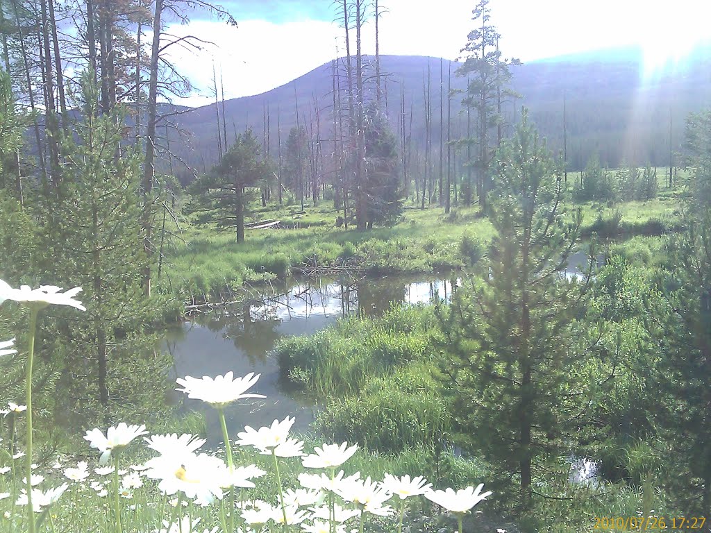 On the Western Slope road to Grand Lake by R Ko