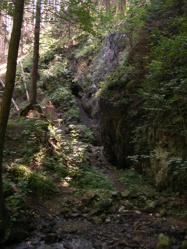 Stillgelegte Grubenanlage im Thumkuhlental by bergkristall Harz