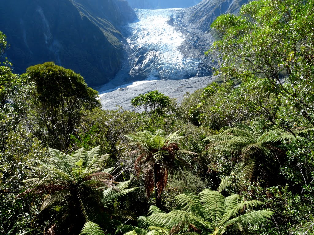 Franz Jozef Glacier-vyhlídka by Z.Rumler