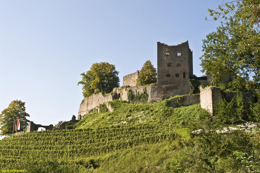 Burg vom Weg unten by bauerpower