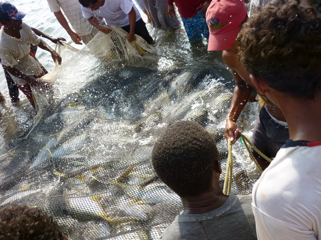 Pesca en Bocagrande by JO Cervantes D