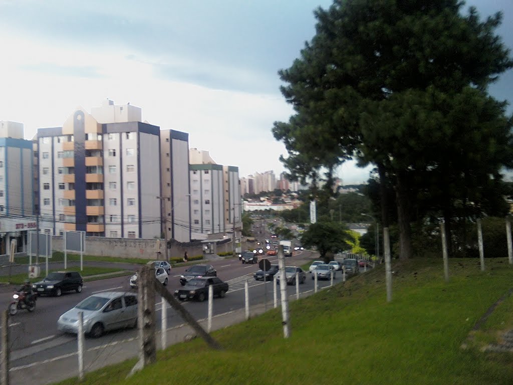 Rua Prof. Pedro Viriato Parigot de Souza - Campina do Siqueira by Elisa Fernandes