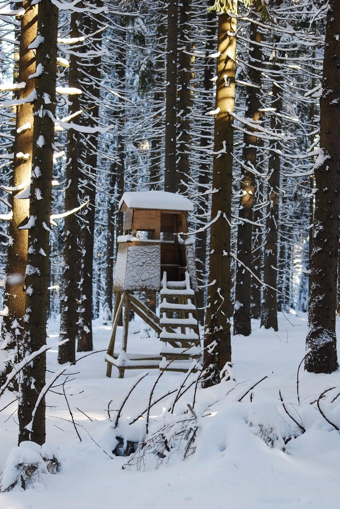 Hochstand im Schönecker Wald by Horst Becher