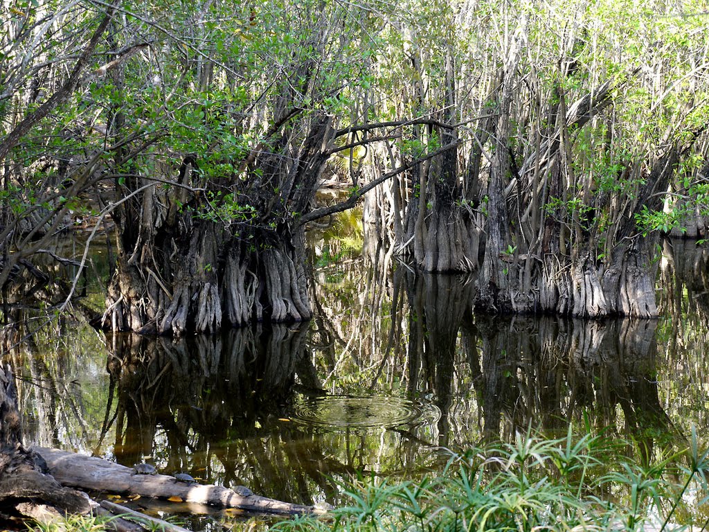 Parque Kabáh, Cancún. México. by Antonio Cristerna