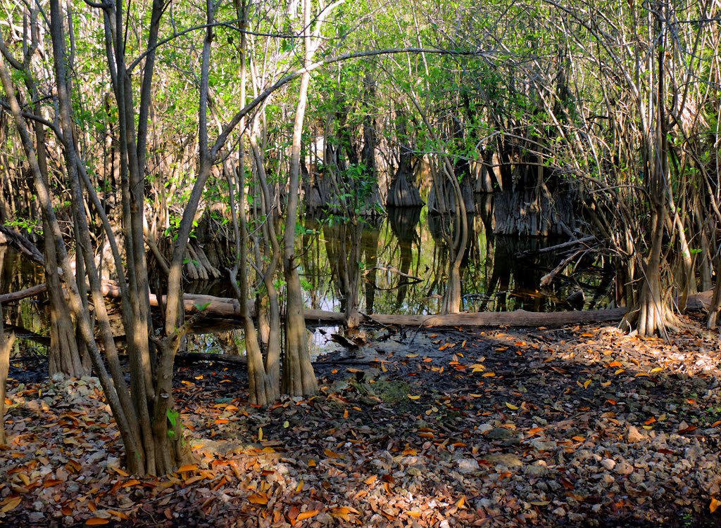 Parque Kabáh, Cancún. México. by Antonio Cristerna