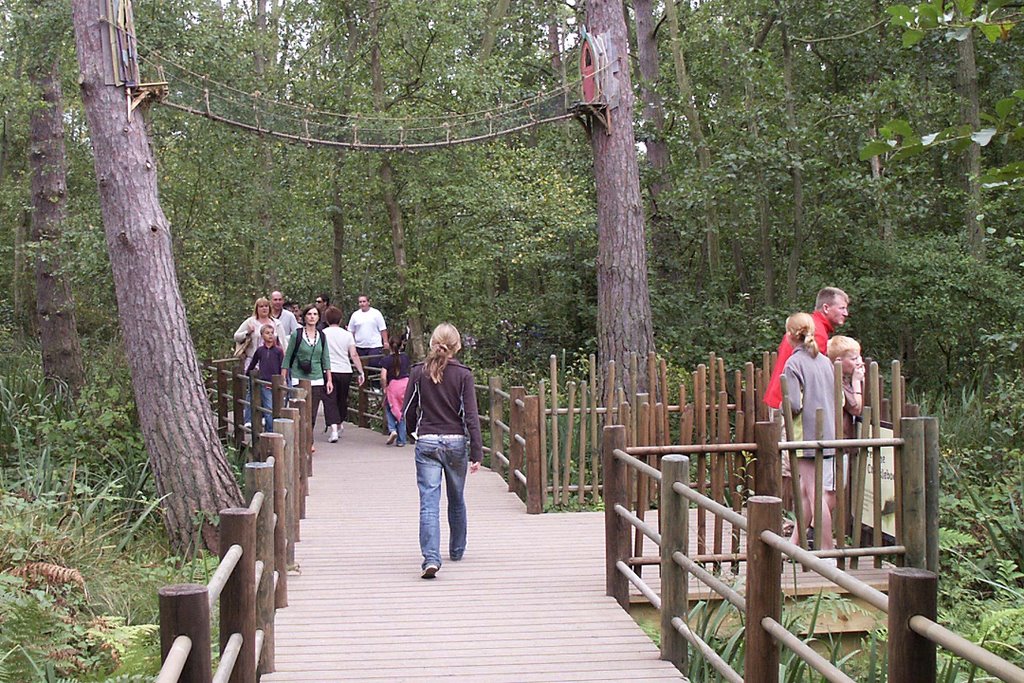 BeWILDerwood Walk by John Dolan