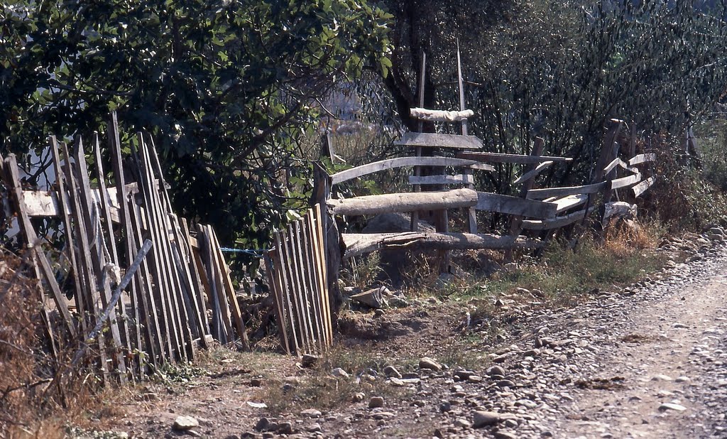 Dalyan Belediyesi, 48600 Dalyan/Ortaca/Muğla Province, Turkey by Erling Als Nielsen