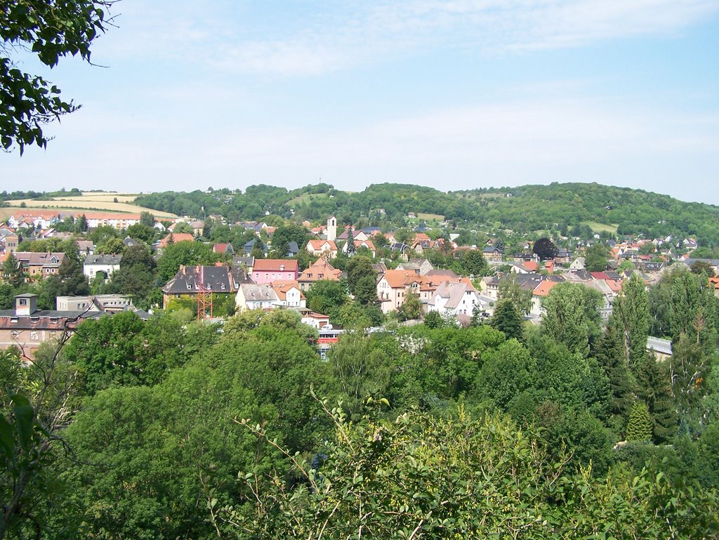 Camburg (von der Burg) by Pake