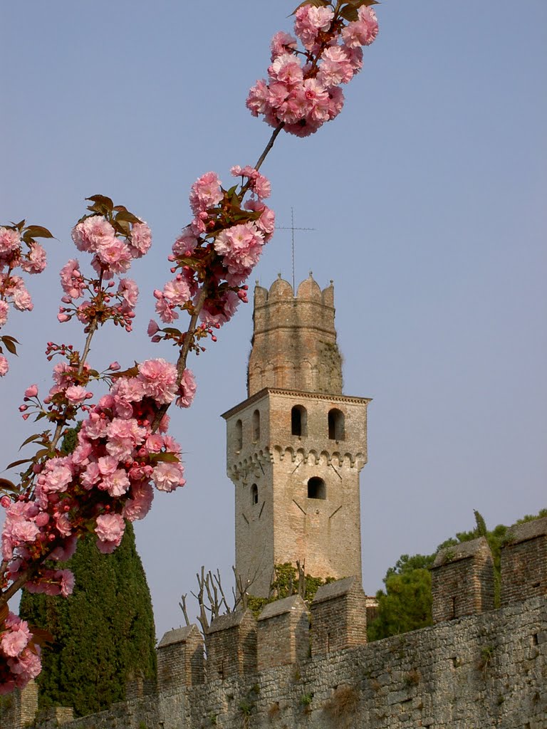 Castello di San Salvatore by renatozamai