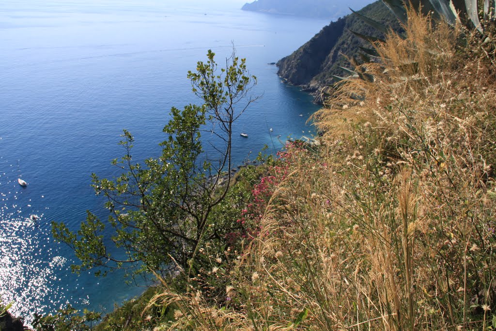 CINQUETERRE - DA VERNAZZA A CORNIGLIA by sauro oliva