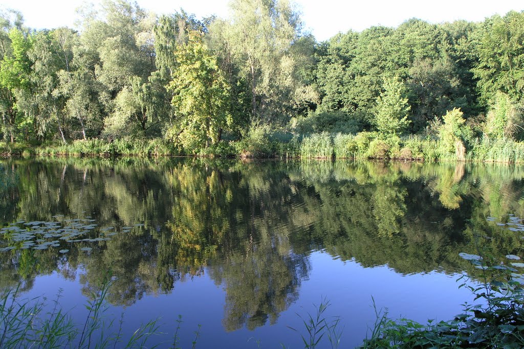 Spiegelung im Finowkanal in Eberswalde - Reflection in Finowkanal in Eberswalde by Ines Spannbauer