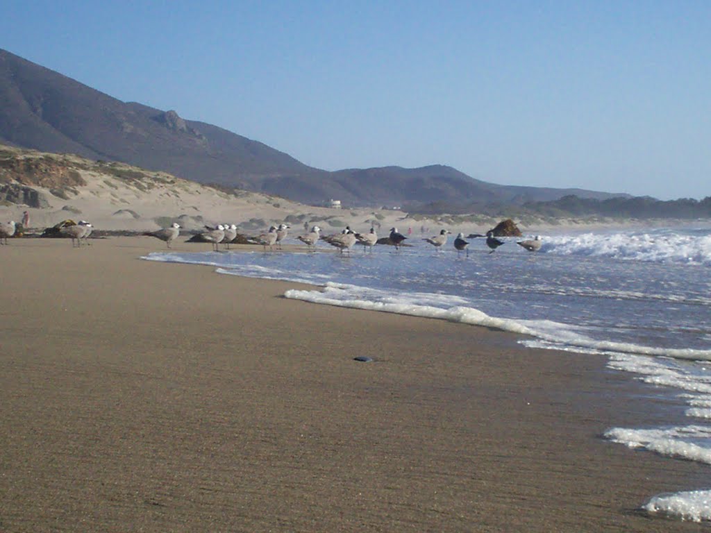 Playa Pichidangui Puente Quilimari 2 by Pablo Vargas