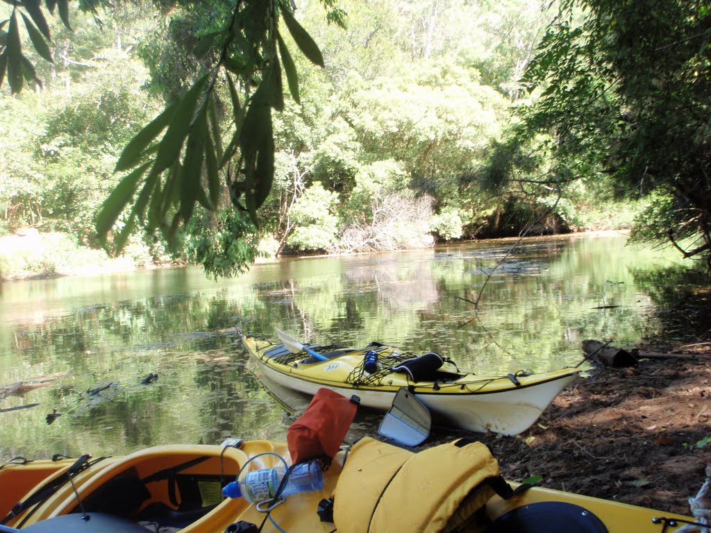 Coffee stop Mangrove Creek by Pringle & Poynter