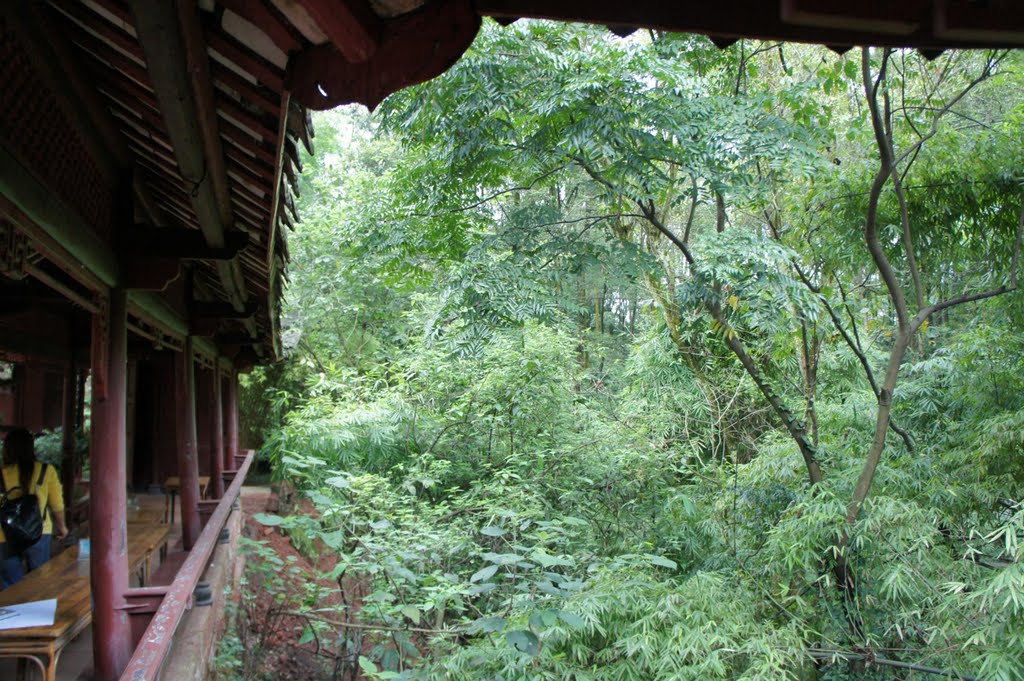 樂山東波樓 Leshan by Tony Law