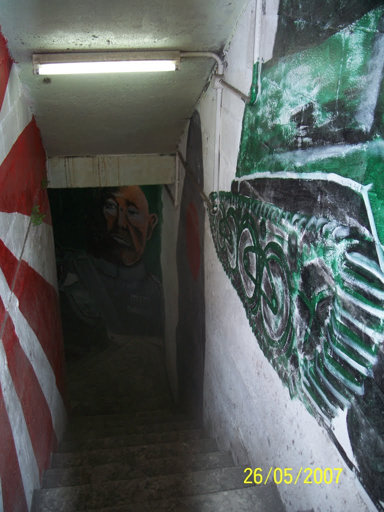 JAP BUNKER in Grounds of RABAUL Hotel in MANGO Avenue, in ENBProv, PNG by Peter John Tate,