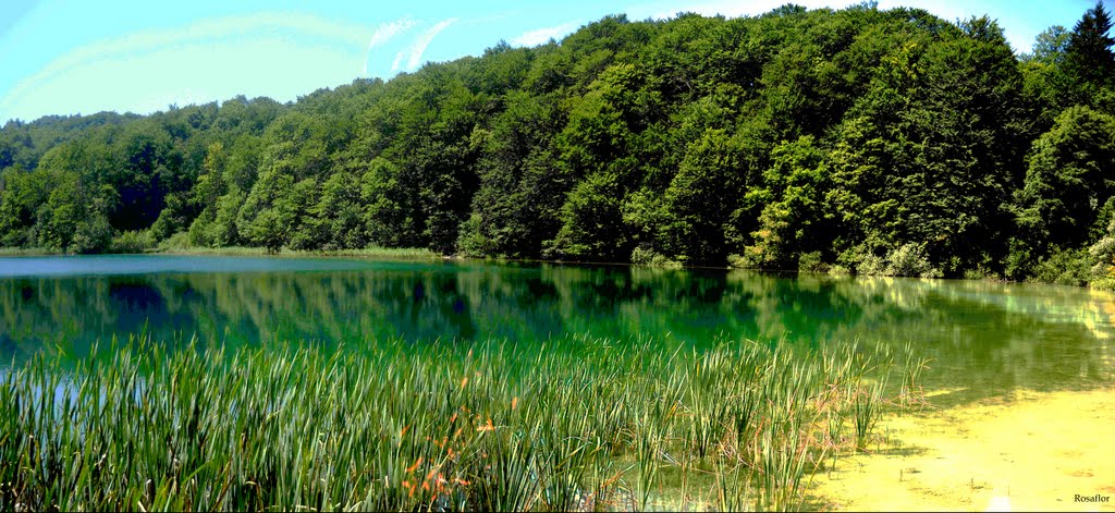 Lagos de Plitvice, panoramica by Rosaflor G.