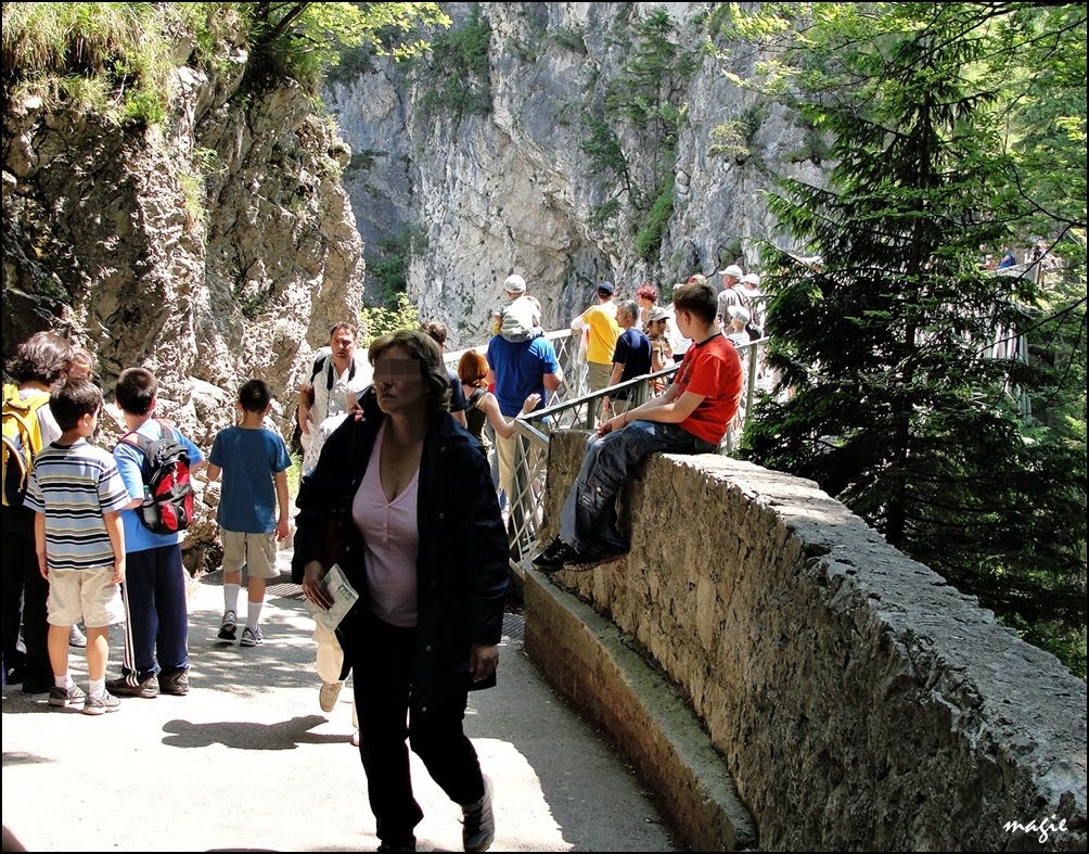 Neuschwanstein. Marienbrücke by Krystyna Koch