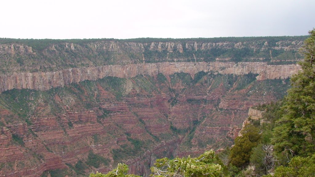 Grand Canyon North Rim by Max F