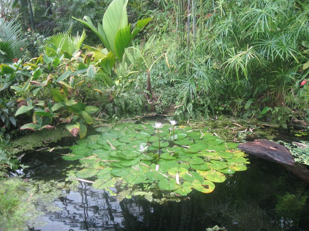 Pražská botanická zahrada. Fata Morgana by Dane2000