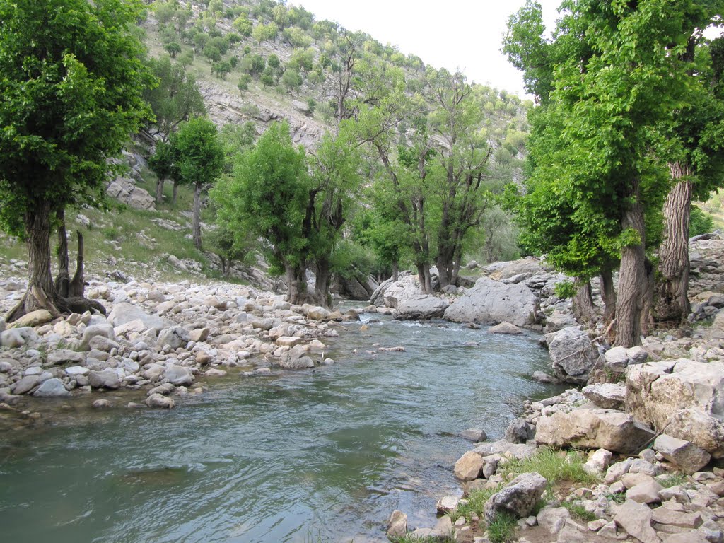 Spring in Tange Hooni by Mehrdad Safarpour