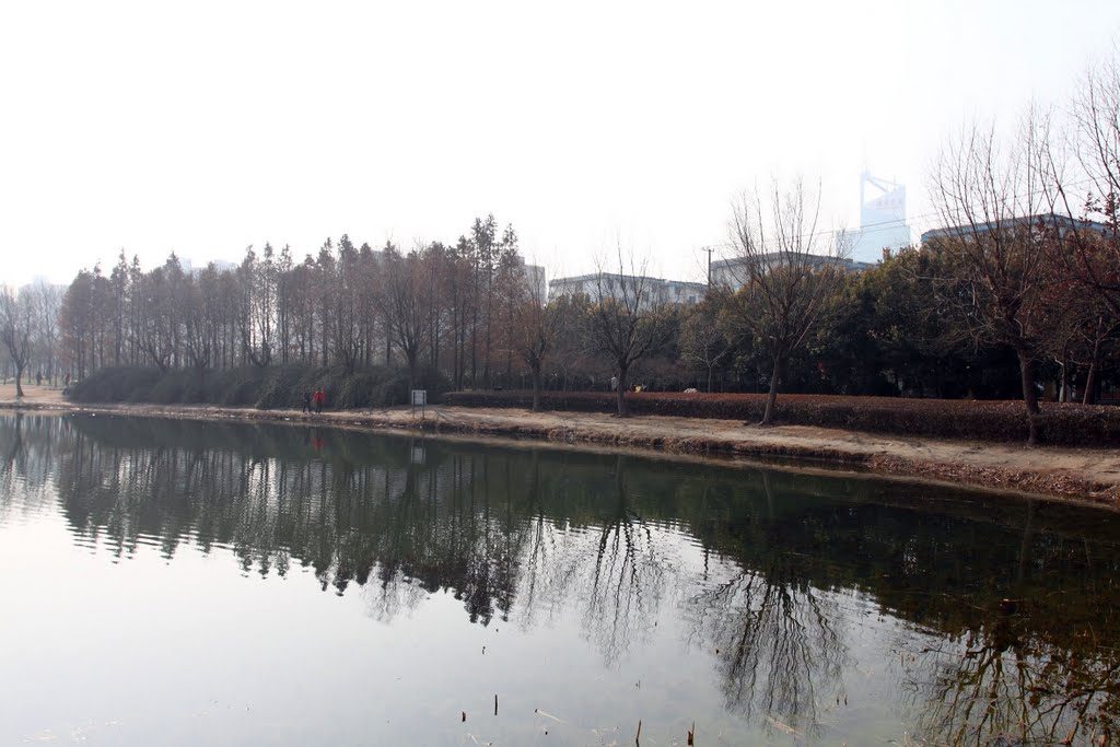 金桥公园 Jinqiao Park by cnopera.org