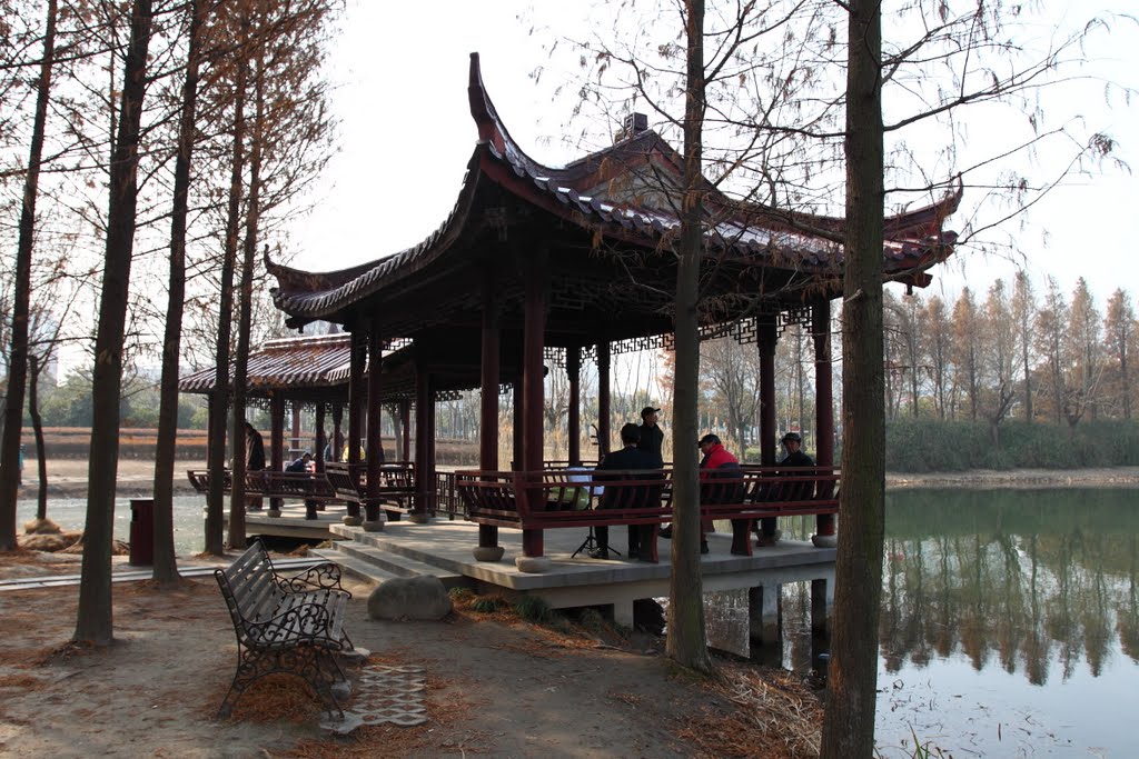 金桥公园 Jinqiao Park by cnopera.org