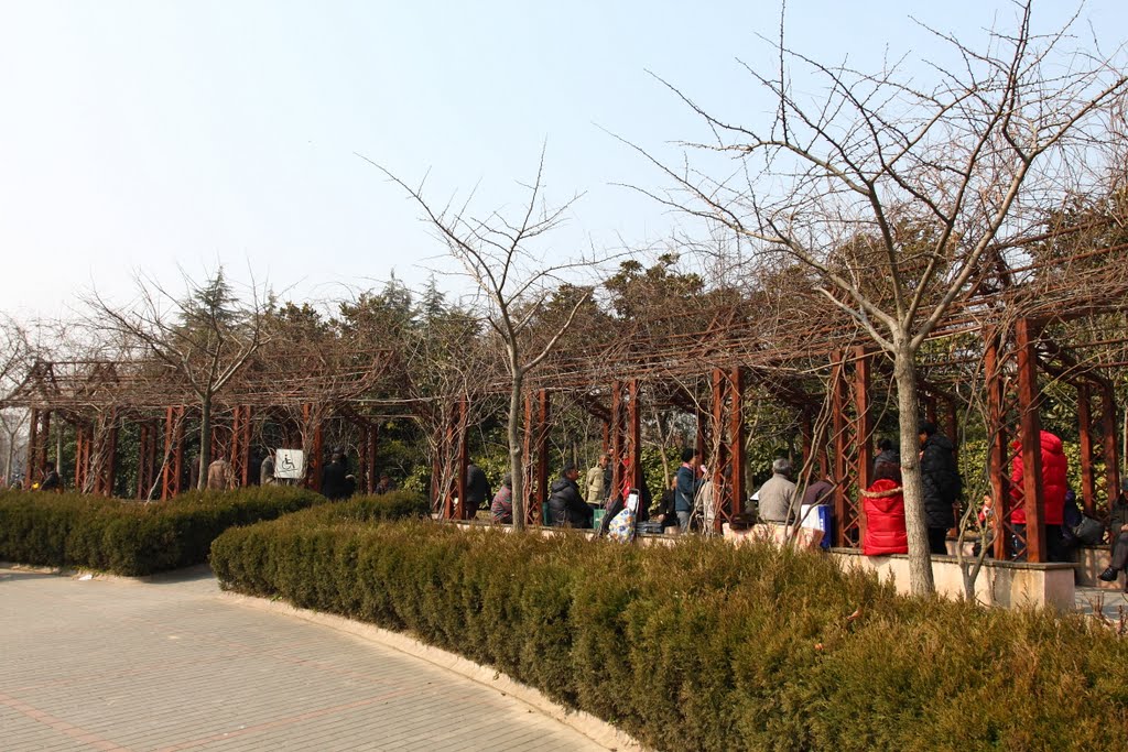 金桥公园 Jinqiao Park by cnopera.org