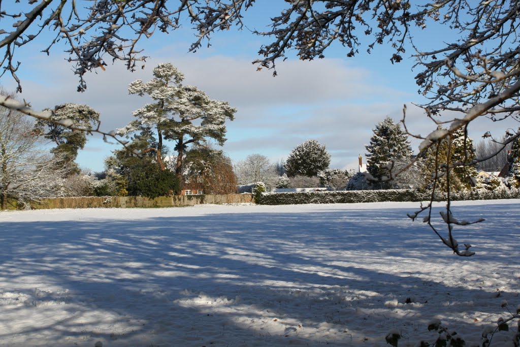 Cricket Field on The Borough by Pat Bunday