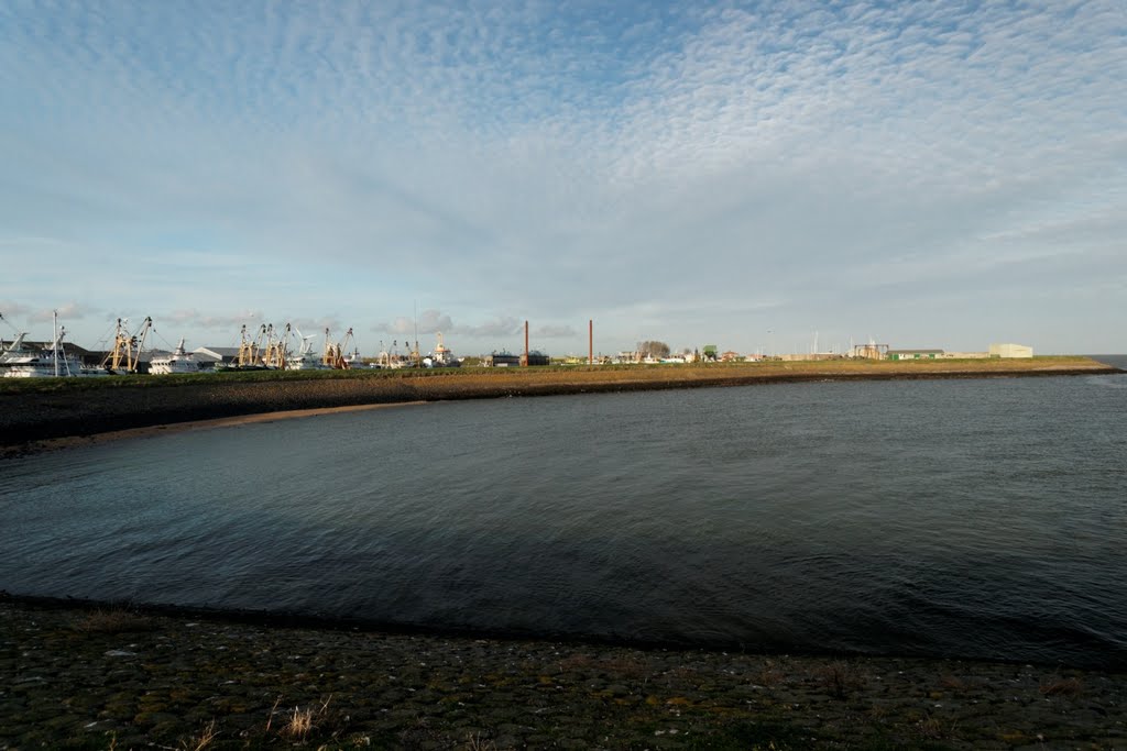 Texel - Oudeschild - Havenhoofd / Harbour Jetty - View NNW by txllxt TxllxT