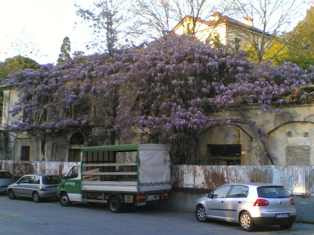 Casa vegetale in versione primaverile nelle vicinanze di Vila Giulia a Pallanza - Vegetal house in spring near Villa Giulia in Pallanza (Verbania - Lake Maggiore) by MynameisAttila