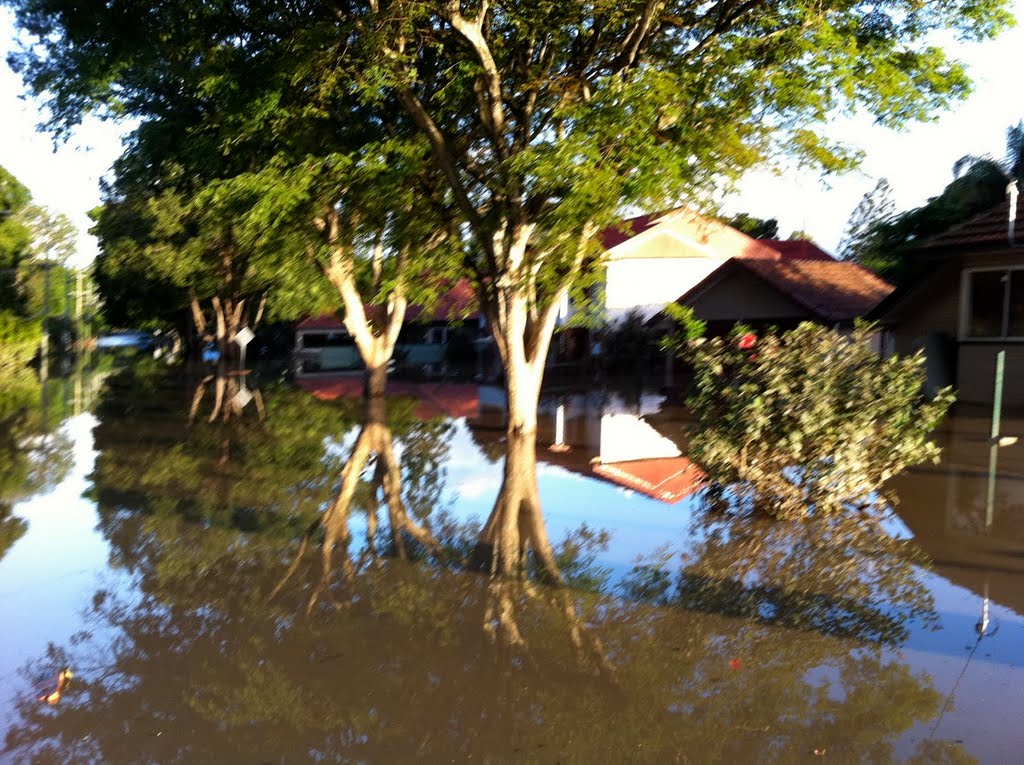 Brisbane 2011 flood: total silence in Chelmer. by T-R-2011