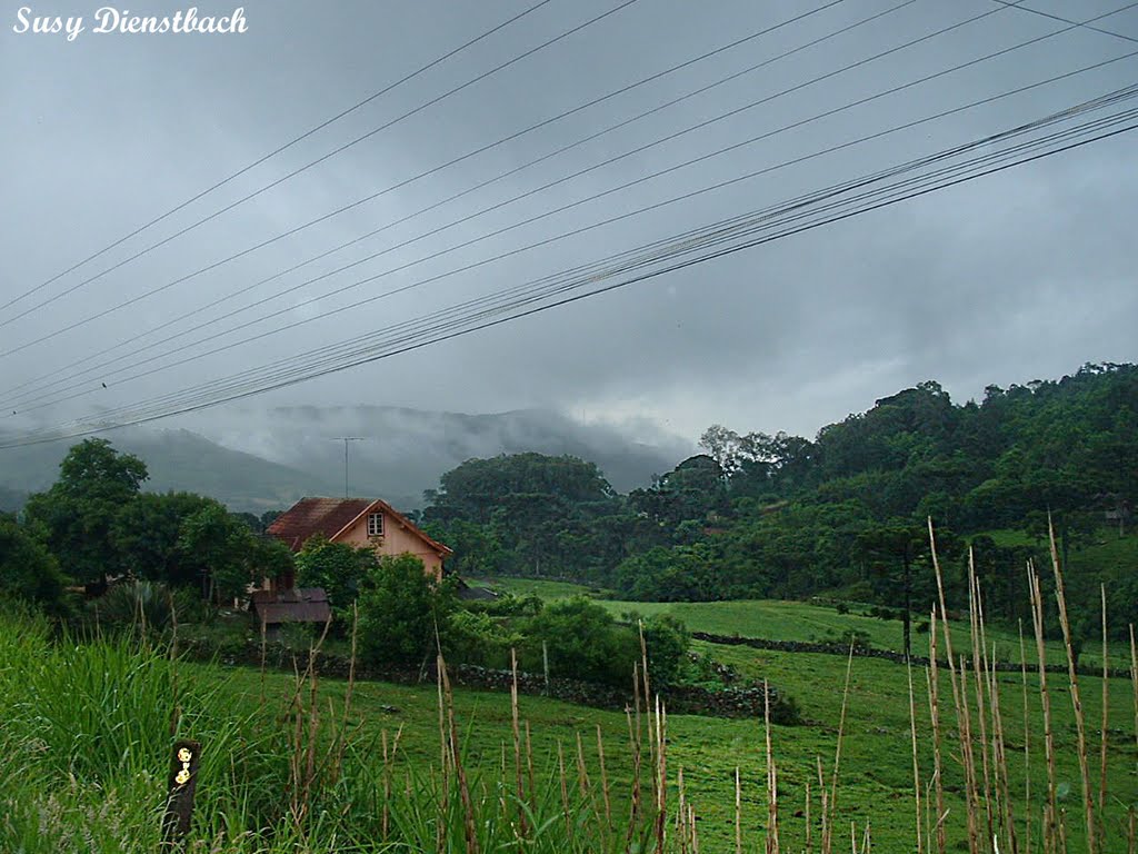 Sitio a beira da estrada - Vida Rural...By SusyDienstbach by Susy Dienstbach