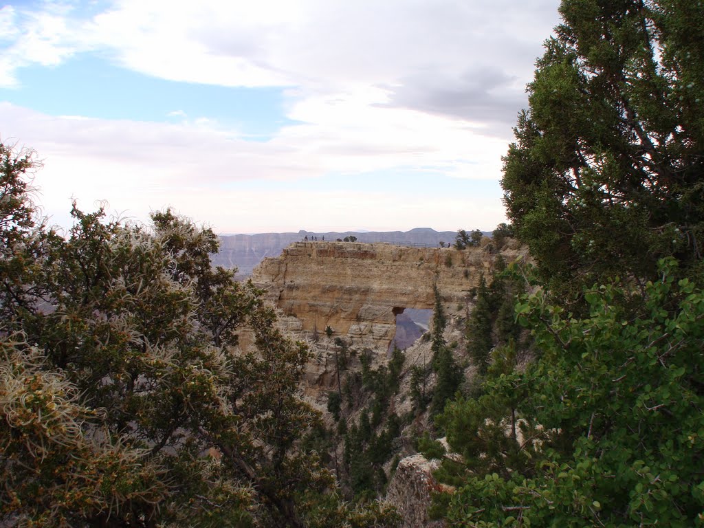 Grand Canyon North Rim by MF.