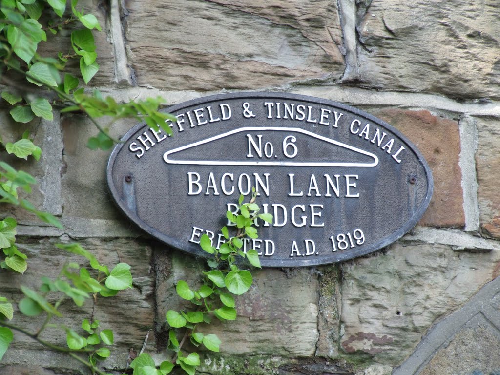 Bacon Lane Bridge plaque by Phil Beecher