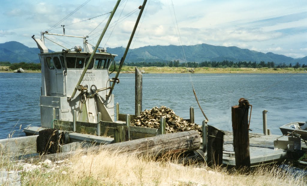 Oyster Boat on Tillamook Bay by robert h geiger