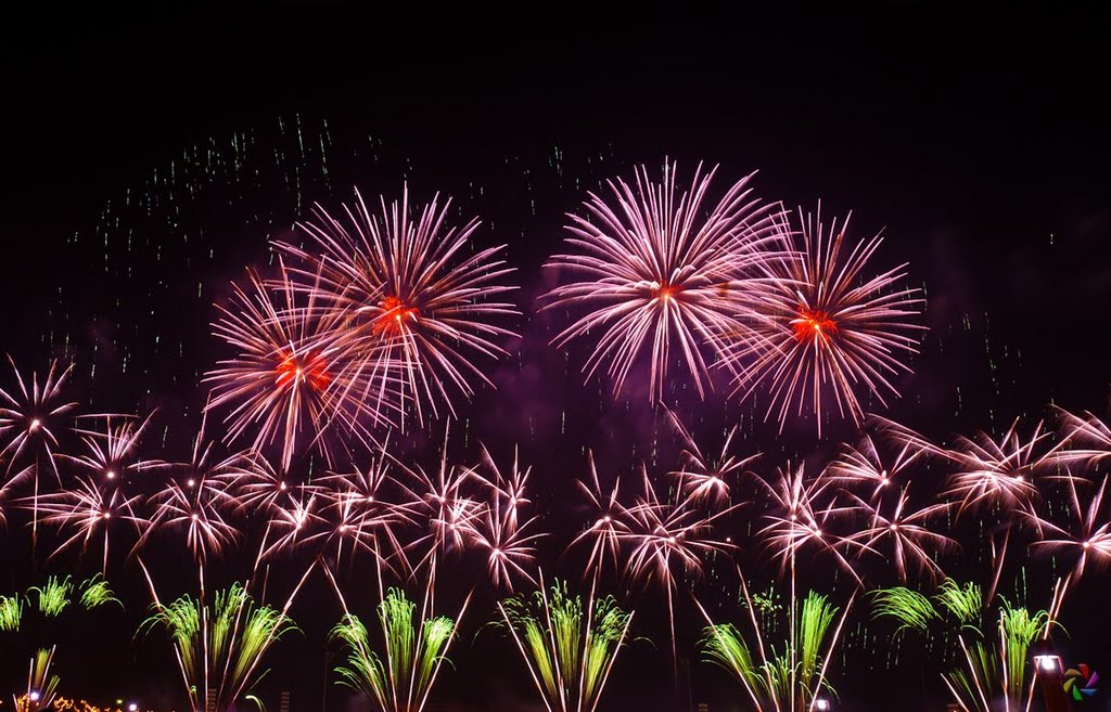 2011 Dalian fireworks by mississippu