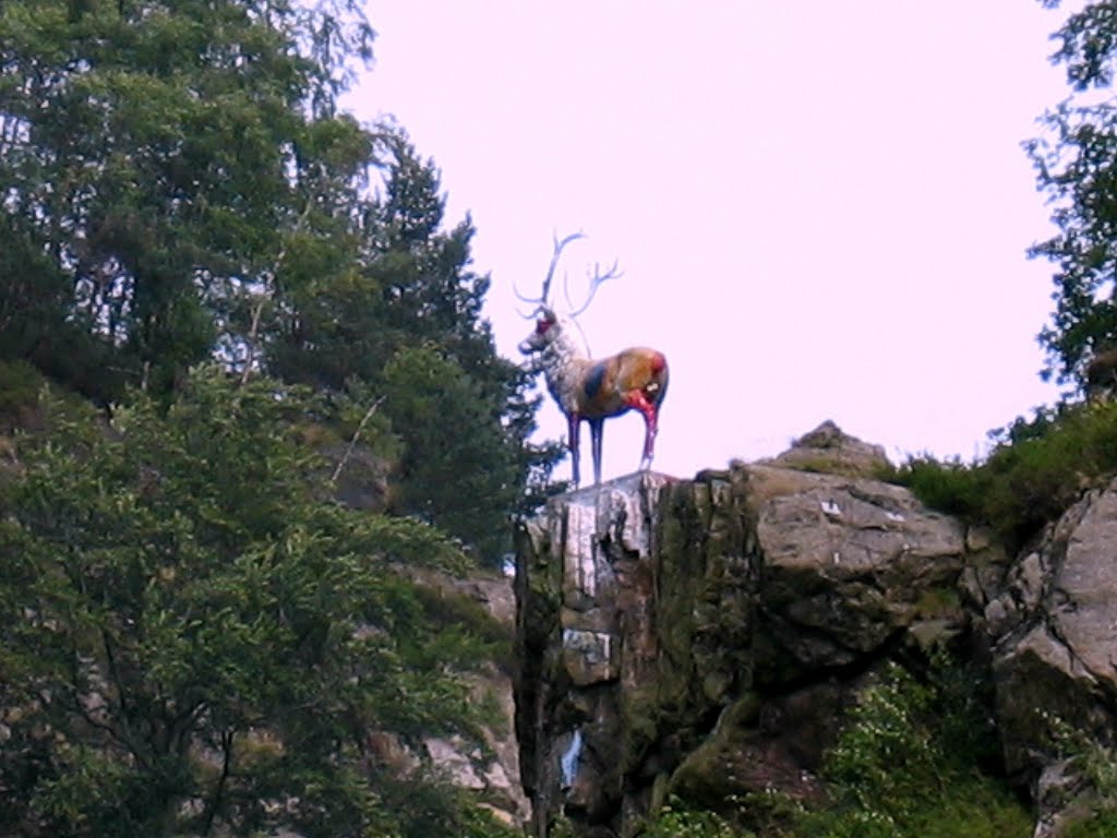 Hirschsprung im Höllental by Evo Tripsa